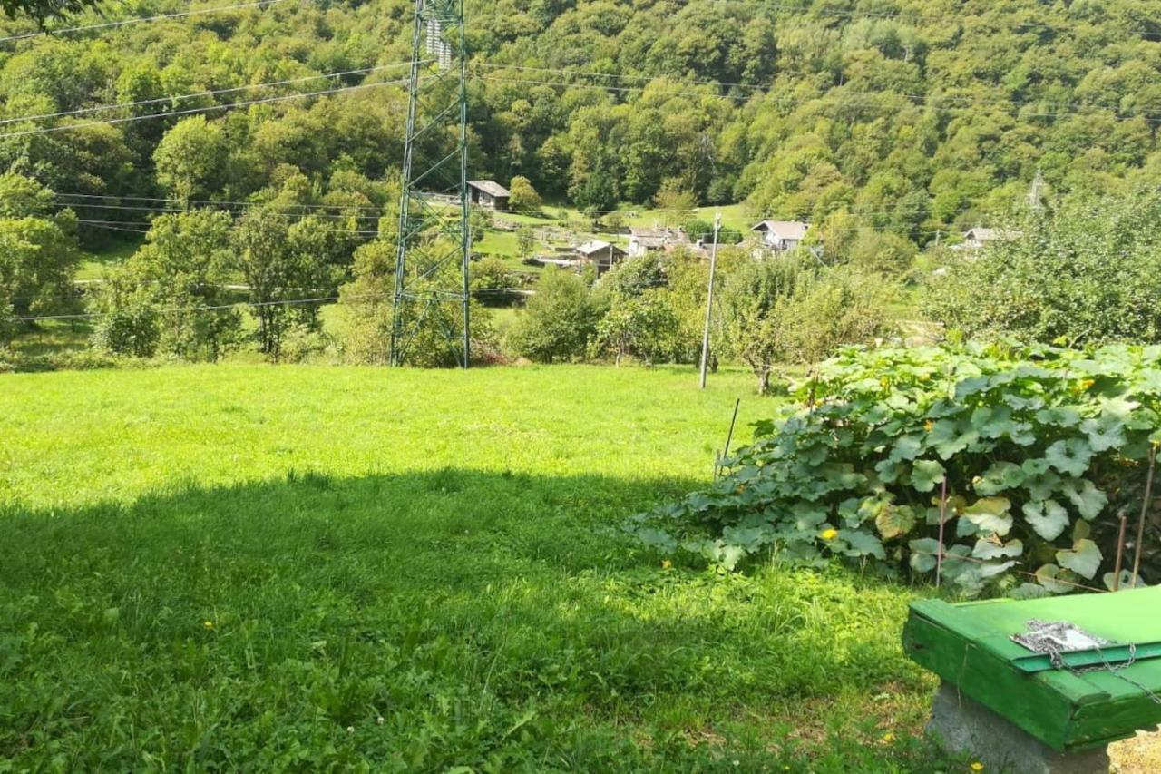 Bilocale A Due Passi Dal Gran Paradiso Holiday home Locana